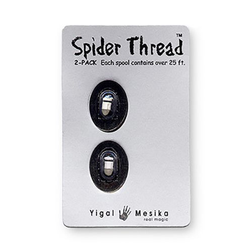 Spider Thread by Yigal Mesika